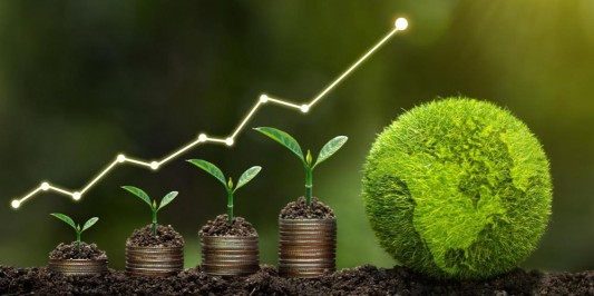 Curso da GESTÃO DE CRÉDITOS - Curso e Implementação: Avaliação Financeira de Empresas do Agronegócio